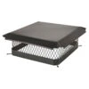 20" X 20" Black Galvanized Single Flue Chimney Cap - 3/4" Mesh 2 20" X 20" Black Galvanized Single Flue Chimney Cap - 3/4" Mesh -Wood Stoves Sales Store w2gsulb7yuxldnxr2vqb 70942.1698284998